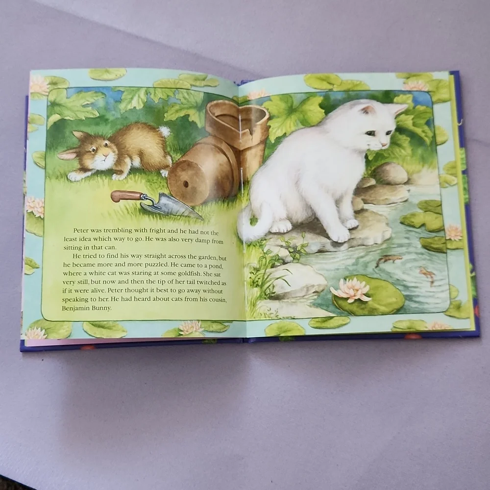 Peter Rabbit Storybook - Picture 3 of 3